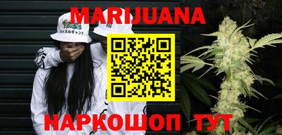 гашик Берёзовский