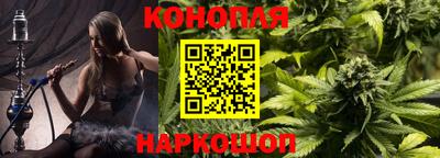 гашик Берёзовский