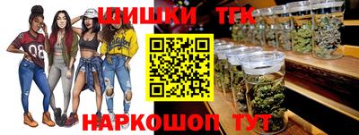 гашик Берёзовский