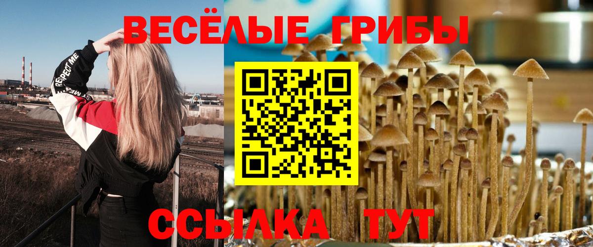 Балахна  наркошоп  Вход с VPN  Псилоцибиновые грибы мицелий  Галлюциногенные грибы Psilocybe 