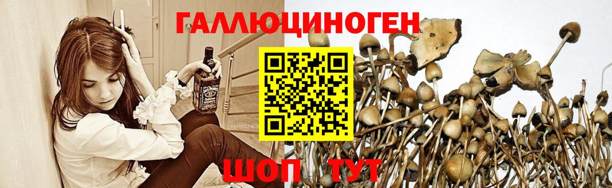 Галлюциногенные грибы GOLDEN TEACHER Балахна